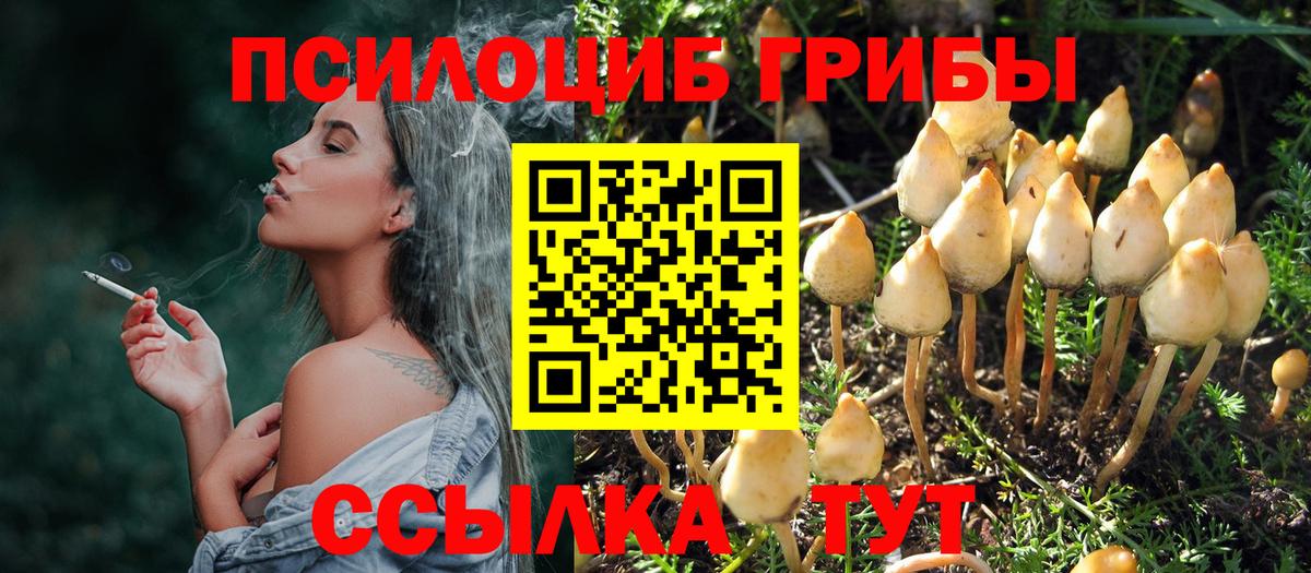 Псилоцибиновые грибы Magic Shrooms  Псилоцибиновые грибы Cubensis  цены   Воркута  Вход с VPN 
