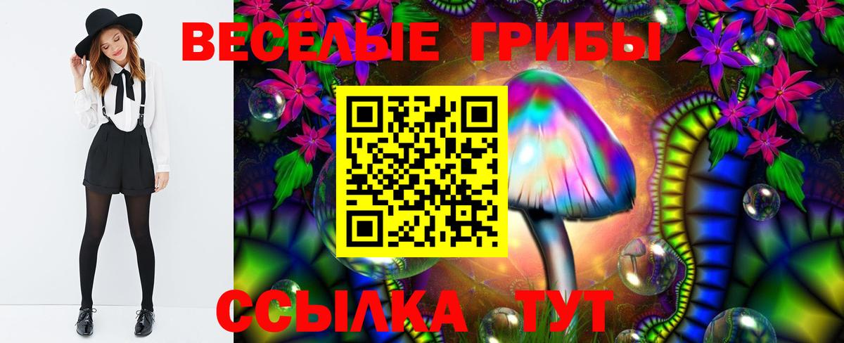 Псилоцибиновые грибы прущие грибы Воркута